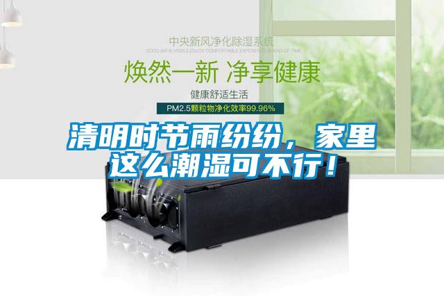 清明時節雨紛紛，家里這么潮濕可不行！