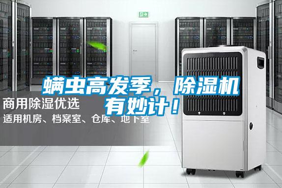 螨蟲高發季，除濕機有妙計！
