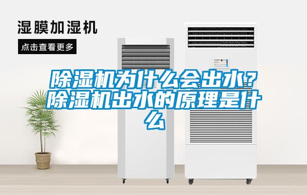 除濕機為什么會出水？除濕機出水的原理是什么