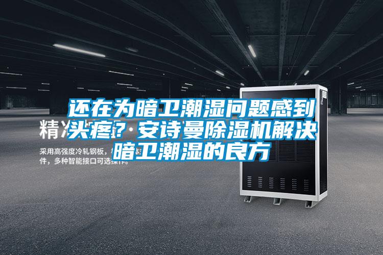 還在為暗衛潮濕問題感到頭疼？安詩曼除濕機解決暗衛潮濕的良方
