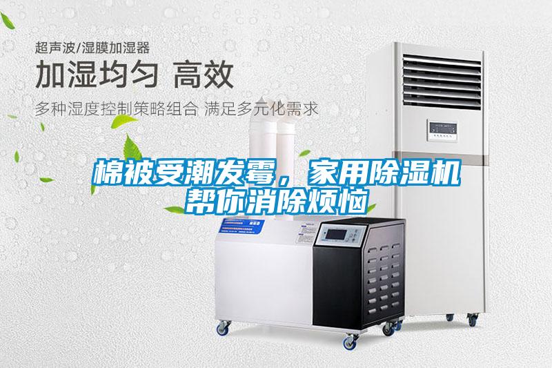 棉被受潮發霉，家用除濕機幫你消除煩惱