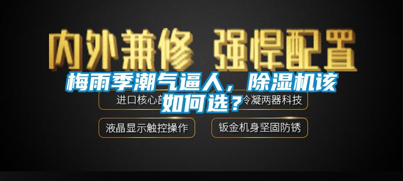 梅雨季潮氣逼人，除濕機該如何選？