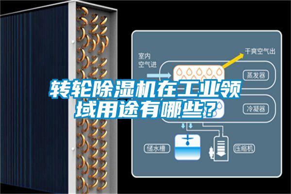 轉輪除濕機在工業領域用途有哪些？