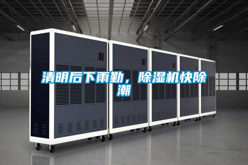 清明后下雨勤，除濕機快除潮