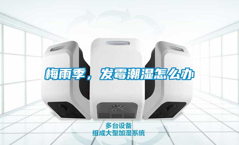 梅雨季，發霉潮濕怎么辦