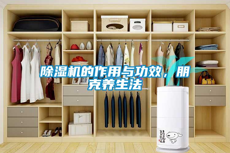 除濕機的作用與功效，朋克養生法