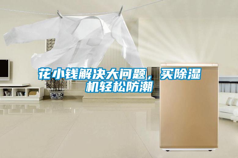 花小錢解決大問題，買除濕機輕松防潮