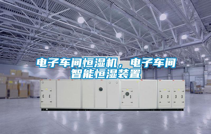 電子車間恒濕機，電子車間智能恒濕裝置