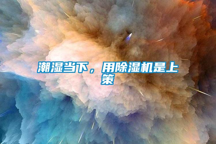 潮濕當下，用除濕機是上策