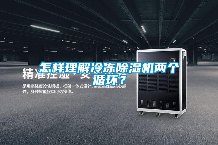 怎樣理解冷凍除濕機兩個循環？