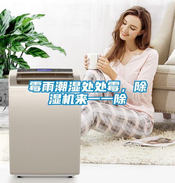 霉雨潮濕處處霉，除濕機來一一除