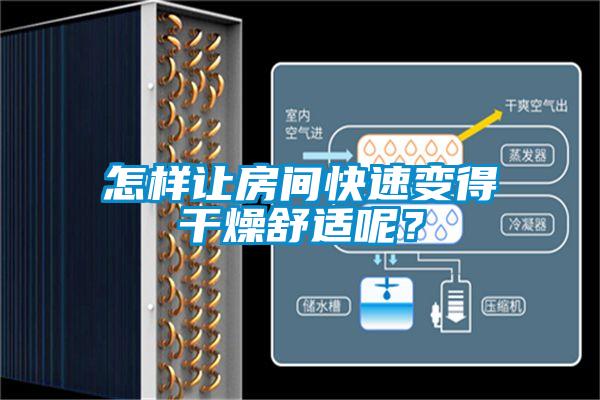 怎樣讓房間快速變得干燥舒適呢？
