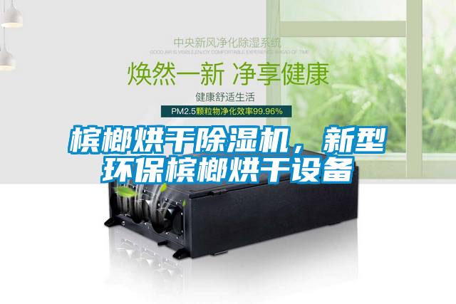 檳榔烘干除濕機，新型環保檳榔烘干設備