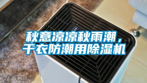 秋意涼涼秋雨潮，干衣防潮用除濕機