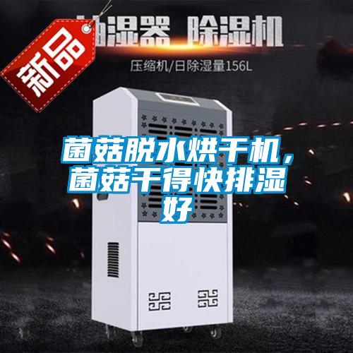 菌菇脫水烘干機，菌菇干得快排濕好