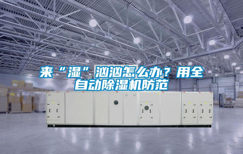 來“濕”洶洶怎么辦？用全自動除濕機防范