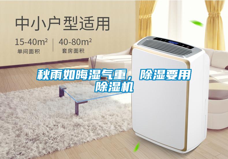 秋雨如晦濕氣重，除濕要用除濕機