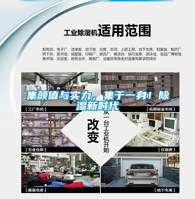 集顏值與實力，集于一身！除濕新時代