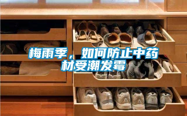 梅雨季，如何防止中藥材受潮發霉