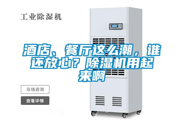 酒店、餐廳這么潮，誰還放心？除濕機用起來啊