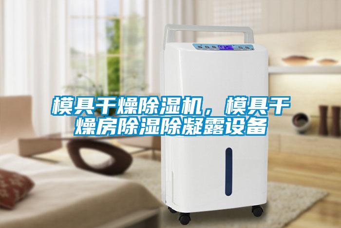模具干燥除濕機，模具干燥房除濕除凝露設備