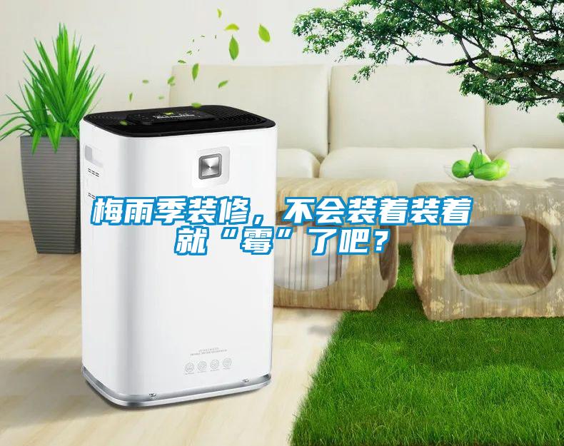 梅雨季裝修，不會裝著裝著就“霉”了吧？