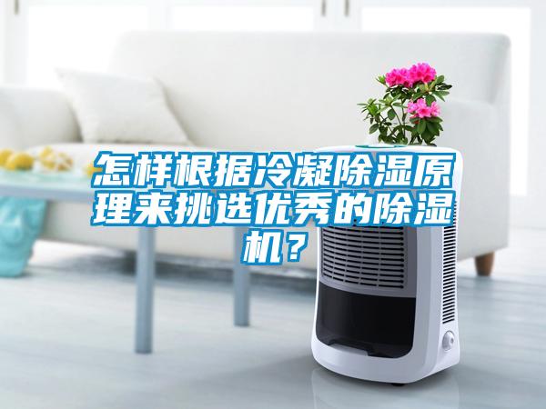 怎樣根據冷凝除濕原理來挑選優秀的除濕機？