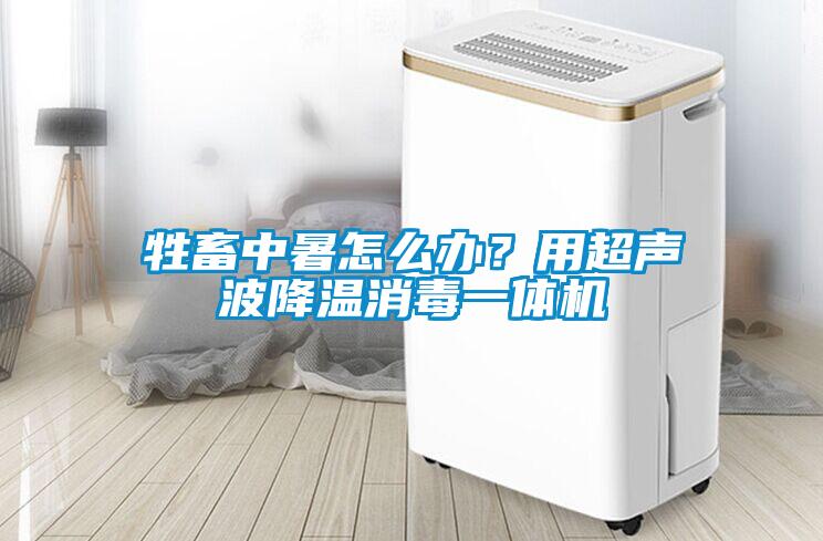 牲畜中暑怎么辦？用超聲波降溫消毒一體機