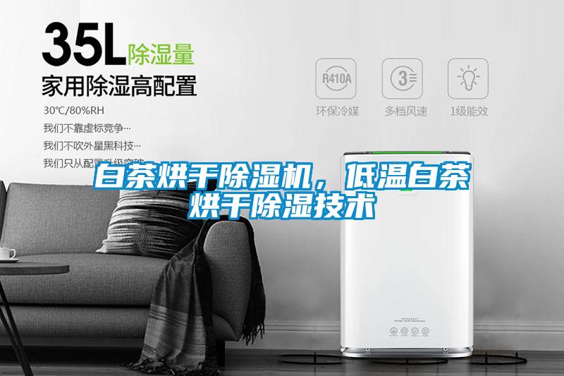 白茶烘干除濕機，低溫白茶烘干除濕技術