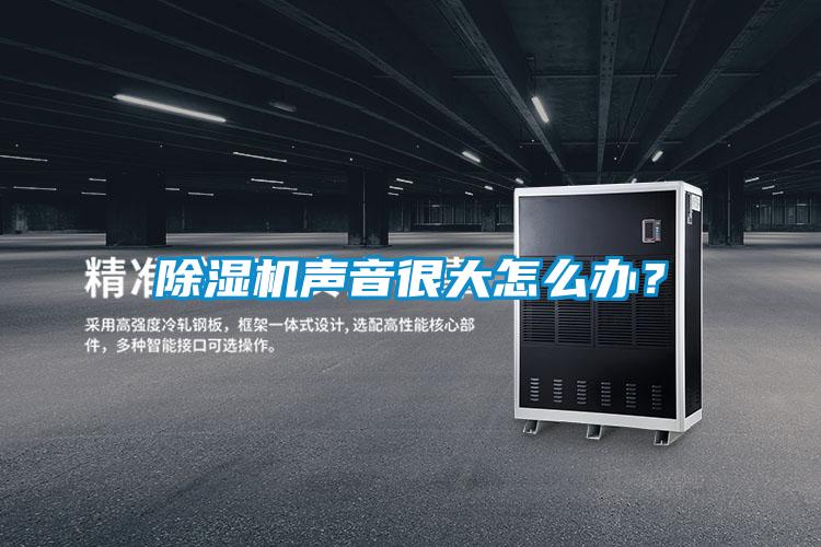 除濕機聲音很大怎么辦？