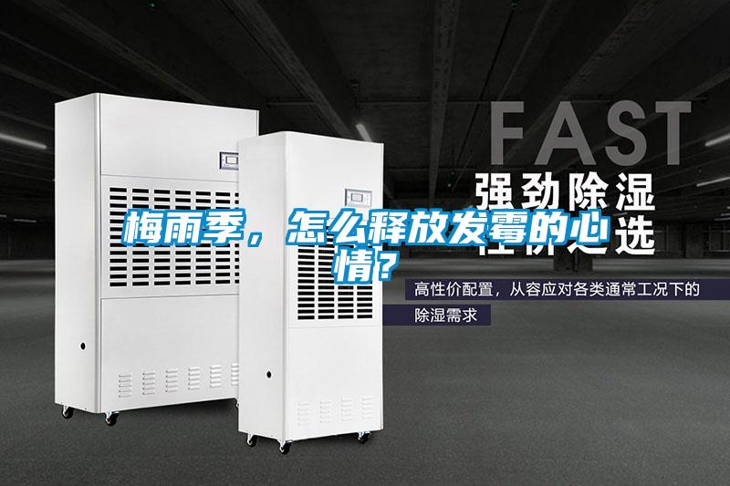 梅雨季，怎么釋放發霉的心情？