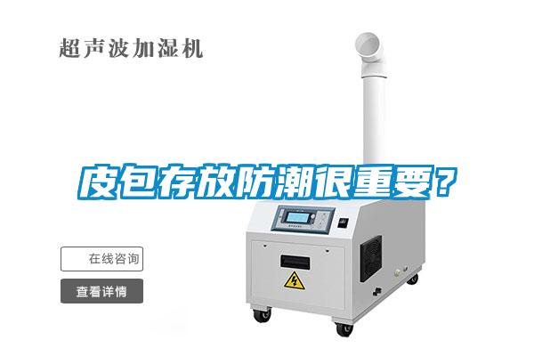 皮包存放防潮很重要？