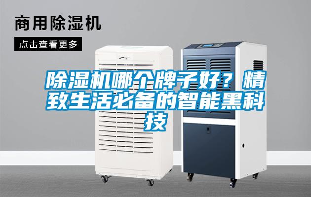 除濕機哪個牌子好？精致生活必備的智能黑科技