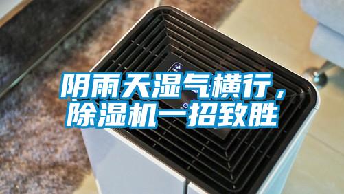 陰雨天濕氣橫行，除濕機一招致勝