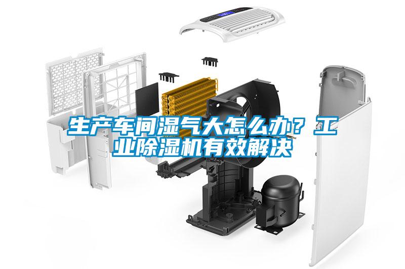 生產車間濕氣大怎么辦？工業除濕機有效解決