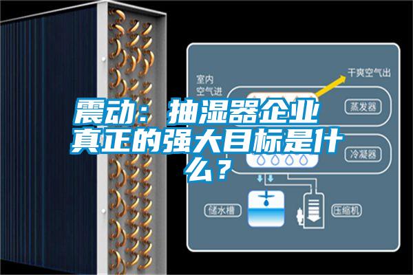 震動：抽濕器企業 真正的強大目標是什么？