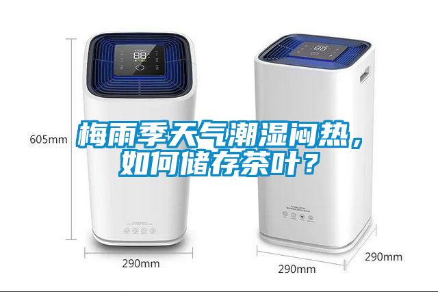 梅雨季天氣潮濕悶熱，如何儲存茶葉？