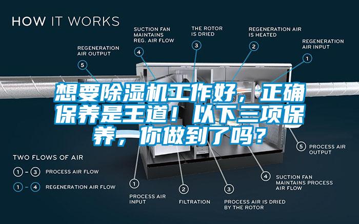 想要除濕機工作好，正確保養是王道！以下三項保養，你做到了嗎？