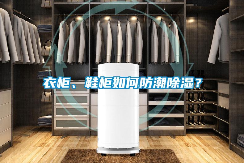 衣柜、鞋柜如何防潮除濕？