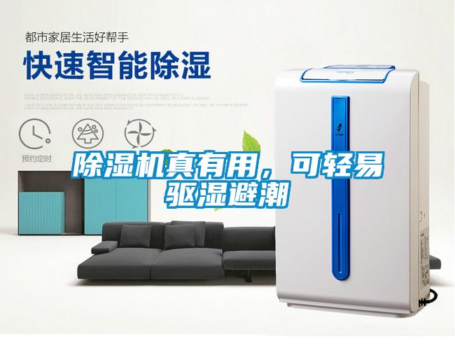 除濕機真有用，可輕易驅濕避潮