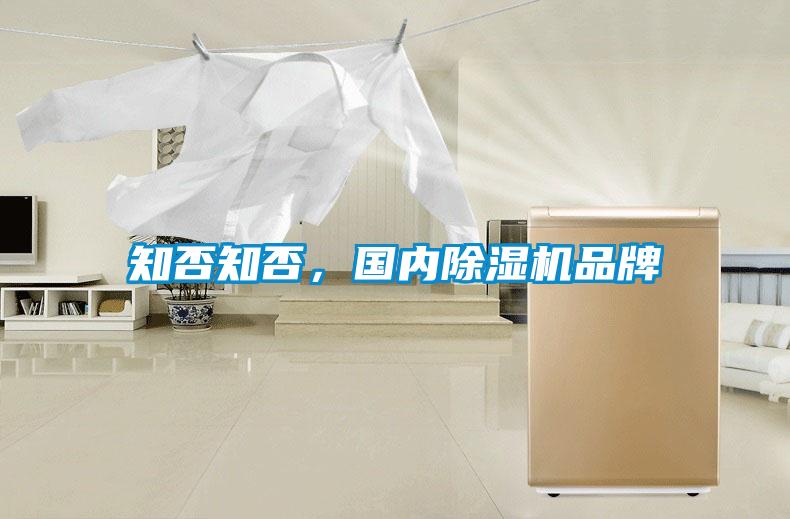 知否知否，國內除濕機品牌