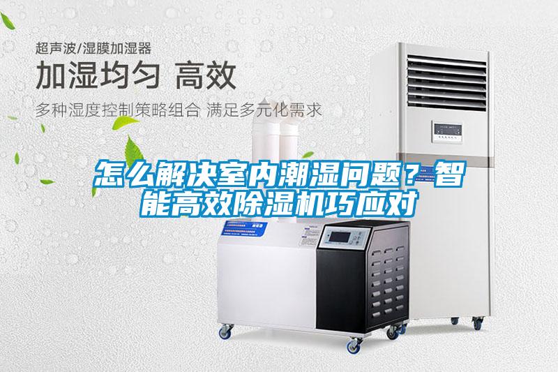 怎么解決室內潮濕問題？智能高效除濕機巧應對