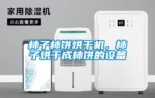 柿子柿餅烘干機，柿子烘干成柿餅的設備