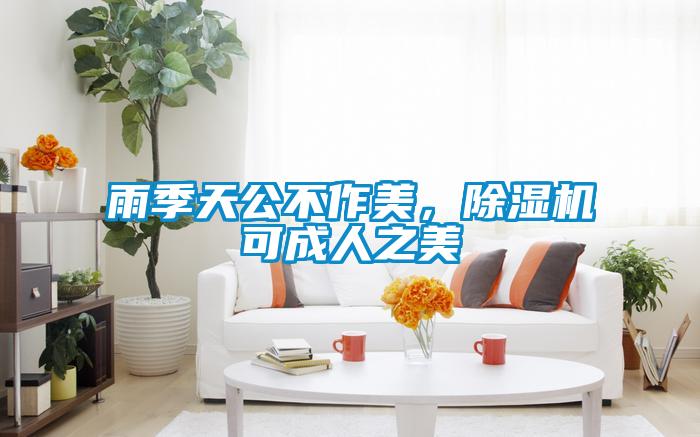 雨季天公不作美，除濕機可成人之美