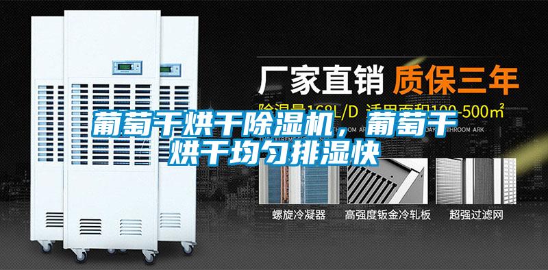 葡萄干烘干除濕機，葡萄干烘干均勻排濕快