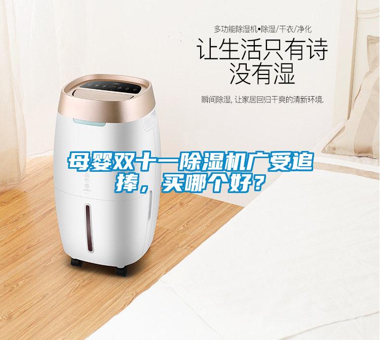 母嬰雙十一除濕機廣受追捧，買哪個好？