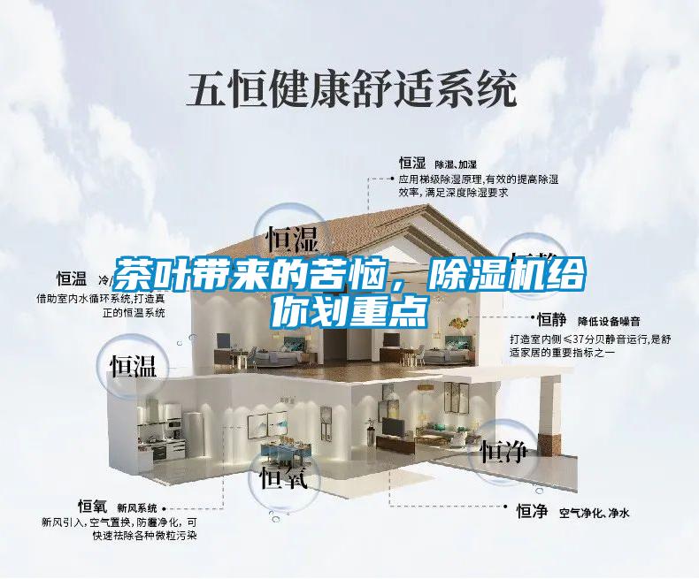 茶葉帶來的苦惱，除濕機給你劃重點