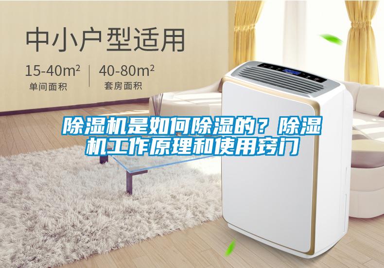 除濕機是如何除濕的？除濕機工作原理和使用竅門