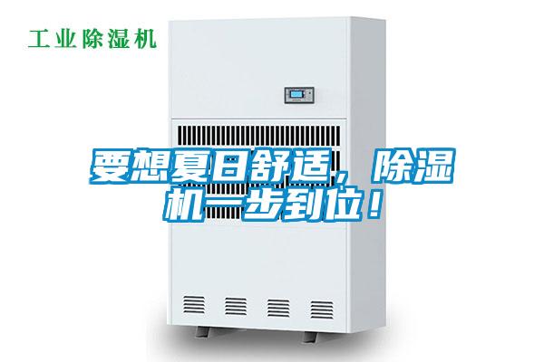 要想夏日舒適，除濕機一步到位！