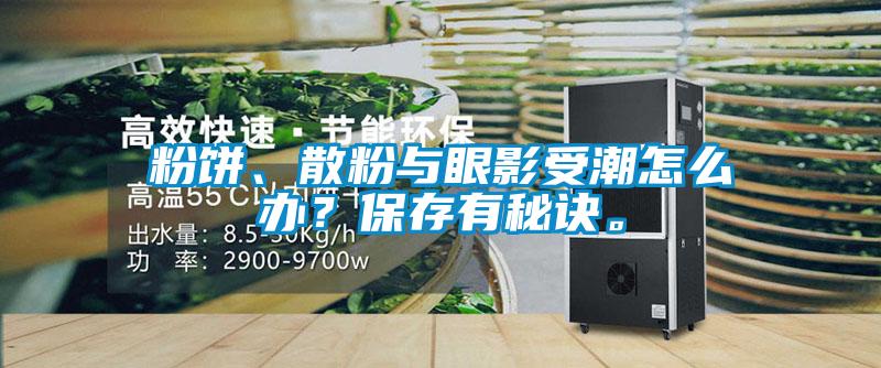 粉餅、散粉與眼影受潮怎么辦？保存有秘訣。